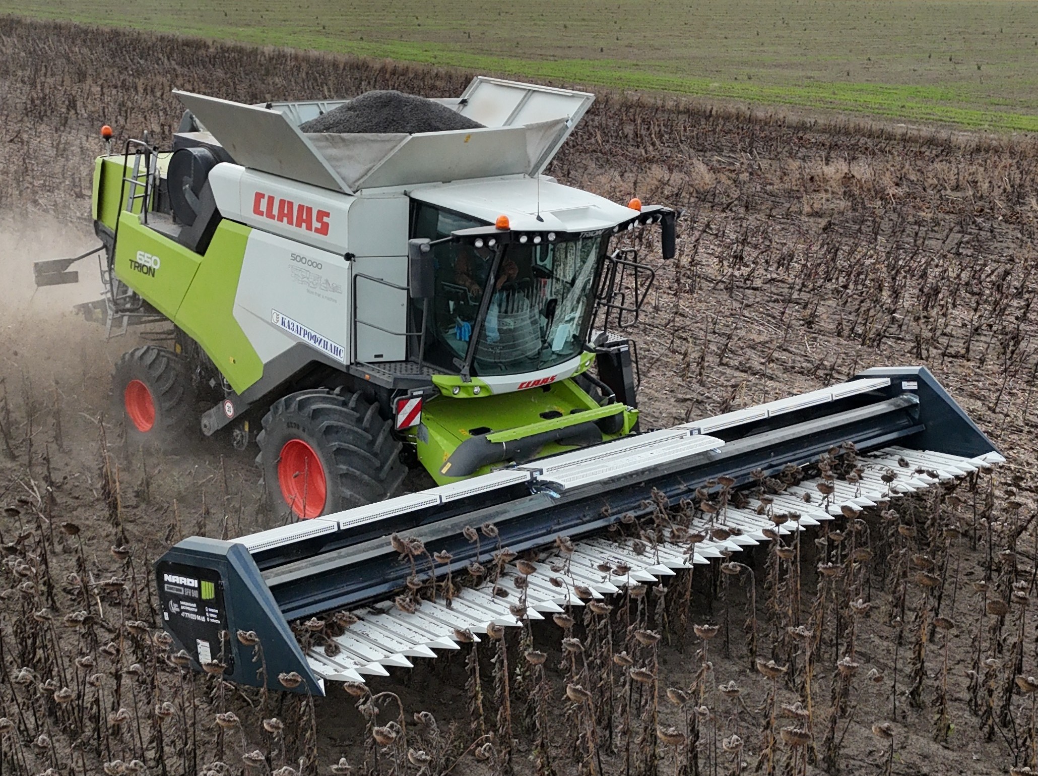 Подсолнечные